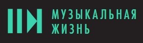 ХРИЗАНТЕМЫ ПОД НОВЫЙ ГОД